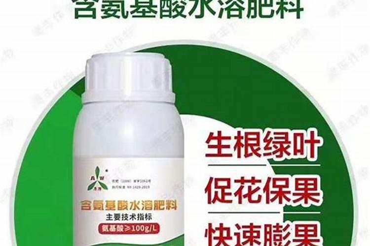 种植葡萄需要什么肥料