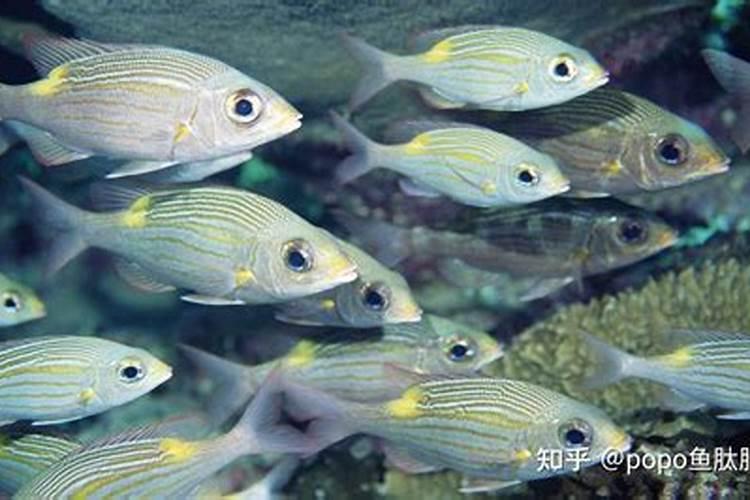 ...治虫、施肥等生产活动.根据生态学的原理,分析回