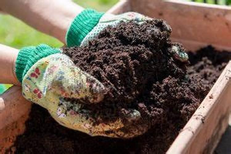 水溶肥和复合肥的区别是什么