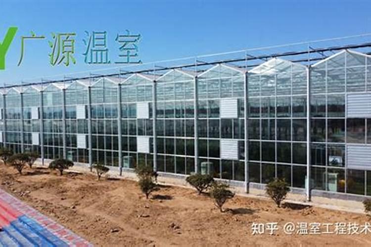 镁肥对植物的效果,镁肥和钾肥可以一起用吗