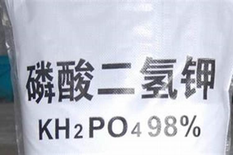 辣椒什么时候喷磷酸二氢钾