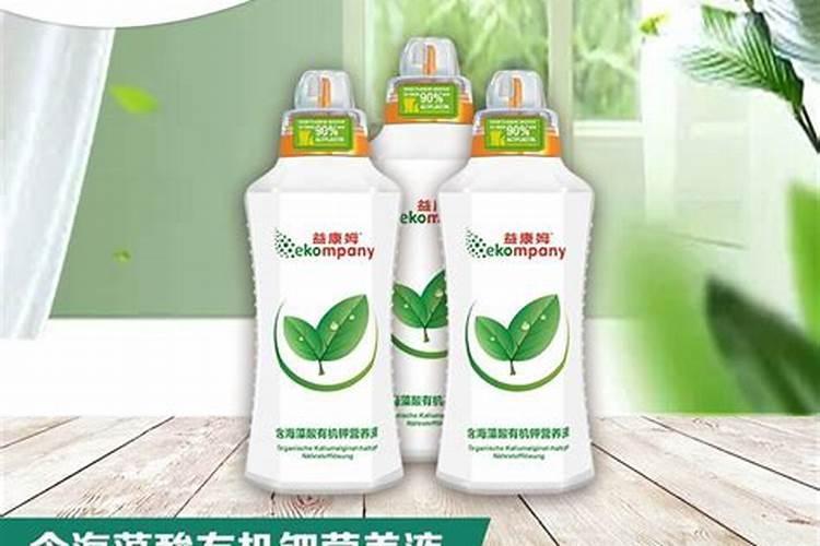 水培植物放什么长得好