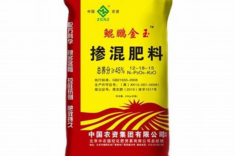 血糖高可以吃桔子吗