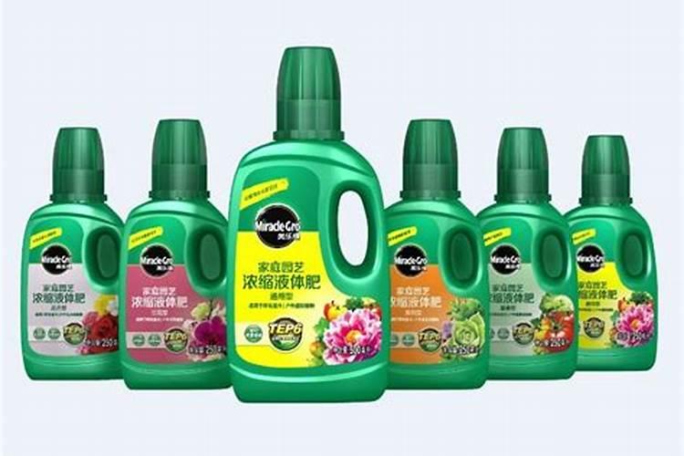 盆栽柠檬树的养殖方法和注意事项