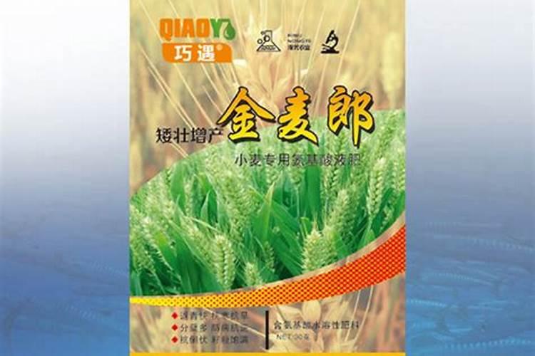 小麦高产水溶肥怎么用？合适的用量是多少