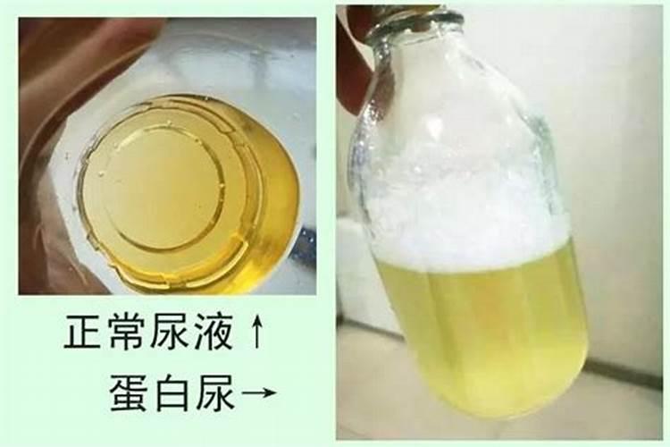 核桃树什么时候喷农药？用什药一年喷几次农药？