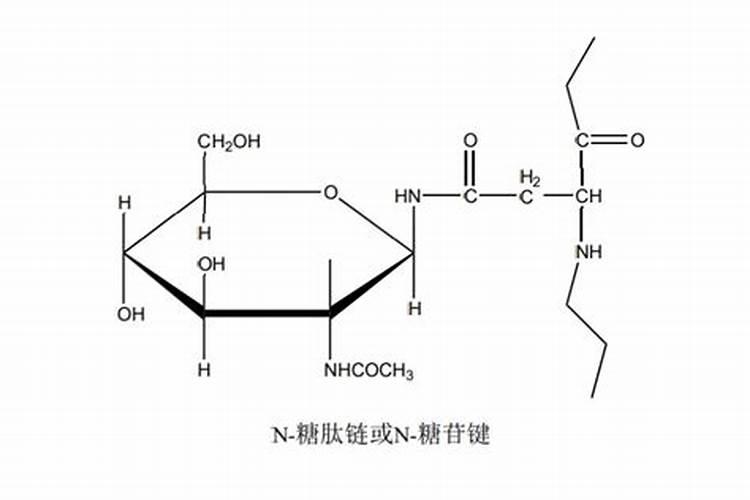 膨果期有哪五个需要严格避开的禁忌要点？