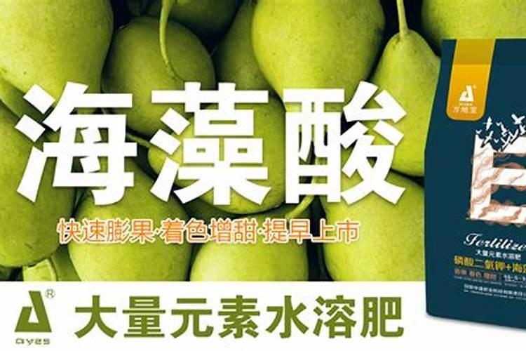 葡萄开花前喷什么叶面肥