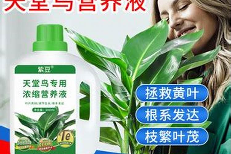 蔬菜叶面肥木醋液批发厂家