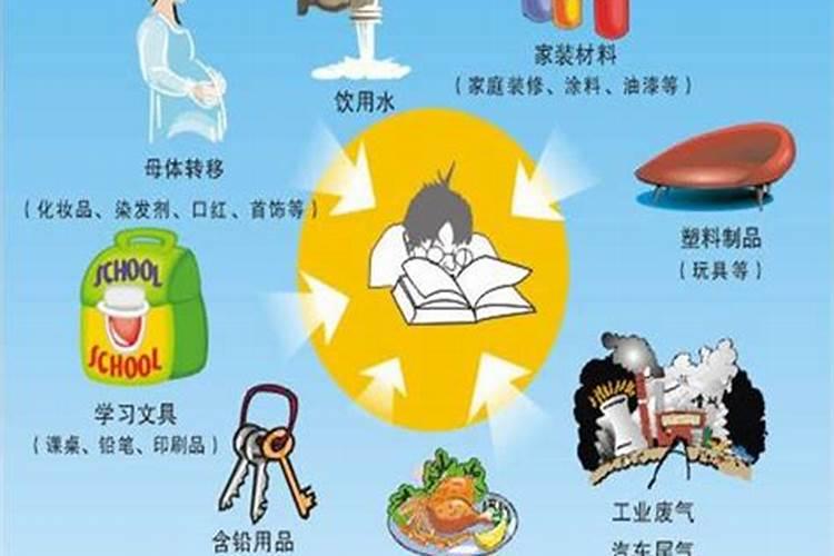 狗狗有哪些微量元素不可摄入过多？