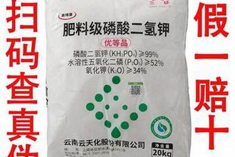 红菜苔用猪油炒还是菜籽油 ？红菜苔什么时候放醋