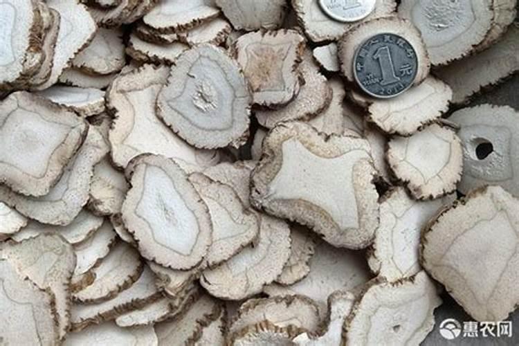 白芷施肥方法和注意事项 白芷种植过程中需要注意哪些事项