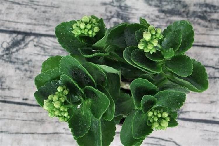 肥料如果是54含量,检验为53算不算合格