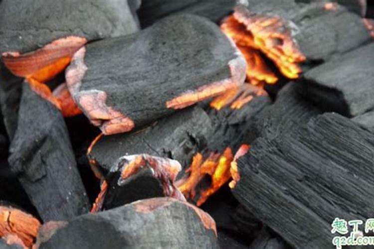 哪些植物肥料里面含丰富的磷和钾？