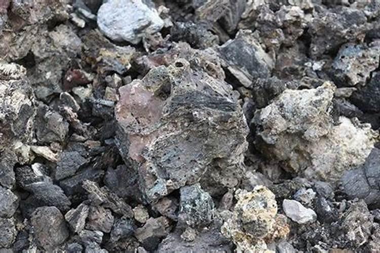 炉灰可以种花吗