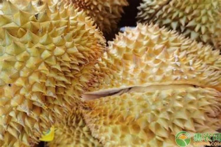 大国空军志——中国台湾空军基地