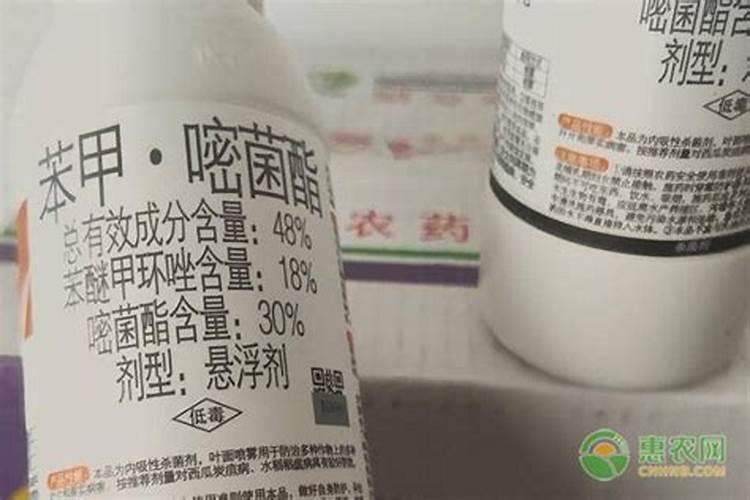 狼毒是什么中药啊？