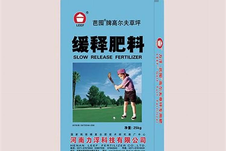 手捶牛肉丸怎么做？