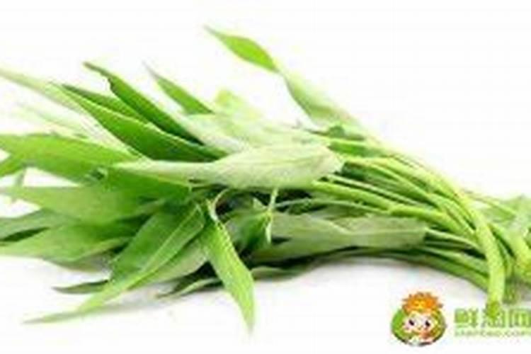 玉米低温缺磷怎么处理