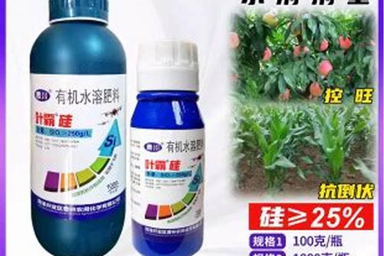 北方冬天怎么给树木保暖过冬 北方冬天怎么给树木保暖过冬的方法百度知 ...