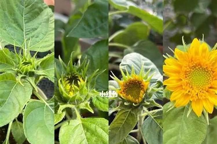 生产1吨100%氢氧化钾需要多少氯化钾,同时产生多少氯气