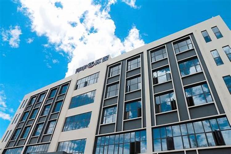 和海绿素一样的叶面肥有哪些