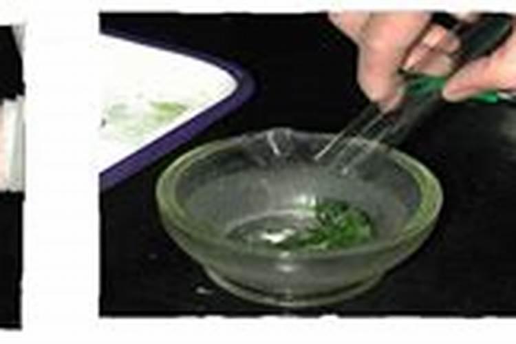 花生受药害打一喷绿叶面肥行不行