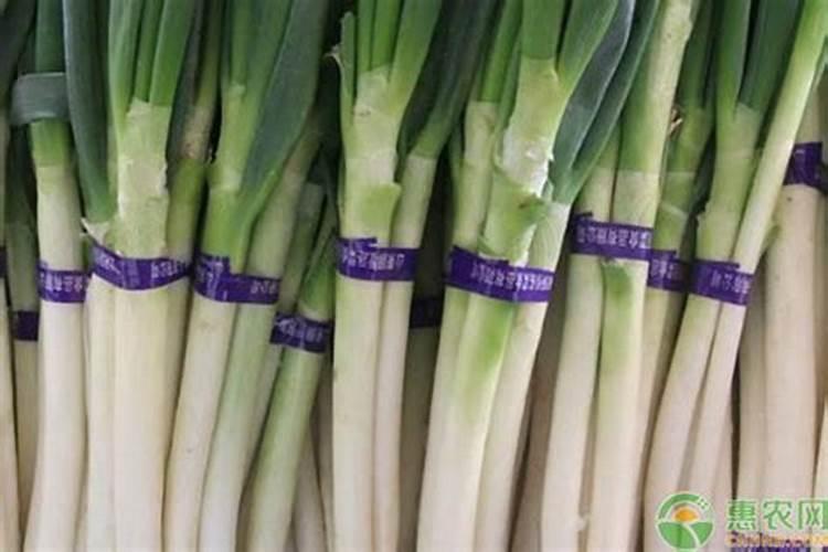 温室蔬菜滴灌管灌溉系统安装介绍及设备准备