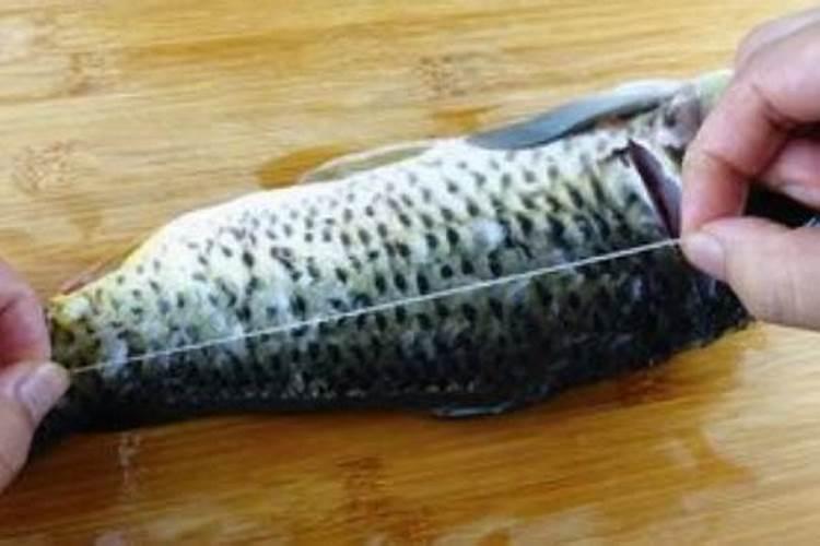 鱼腐烂是什么变化