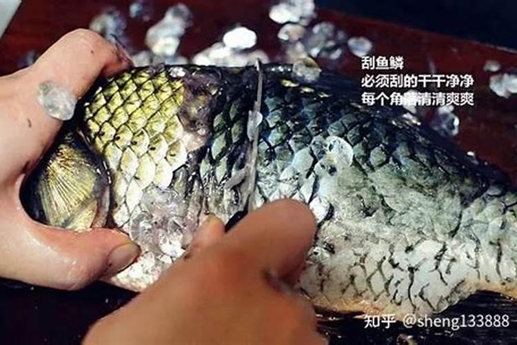 鱼蛋白怎么制作过程