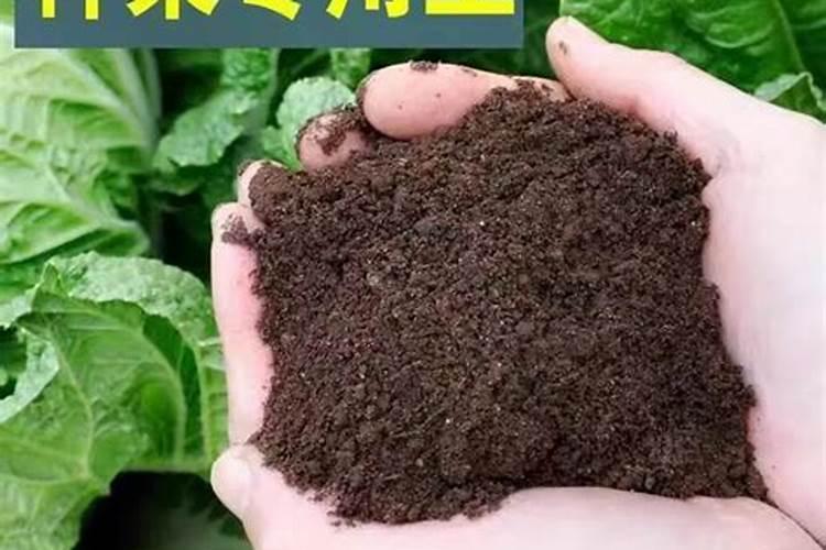 从超市买来炒熟的黑芝麻怎么吃？