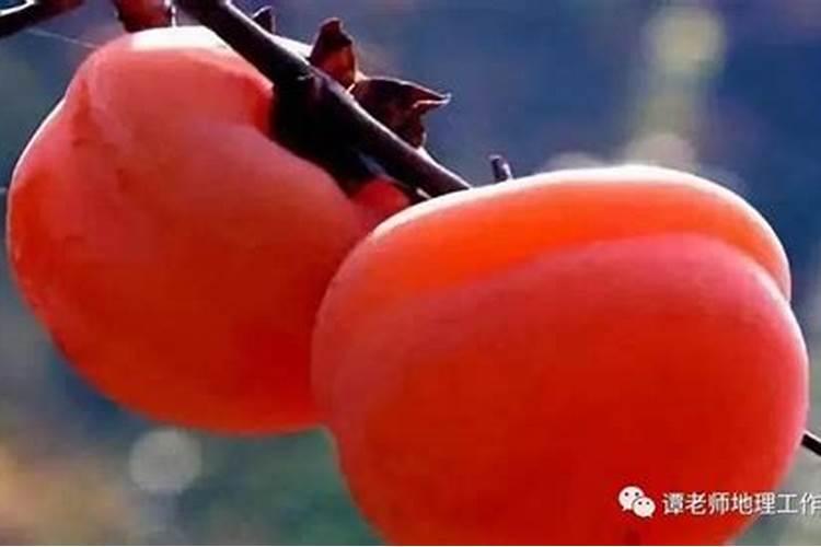 种植月季花用销基复合肥好还是硫酸钾型复合肥好