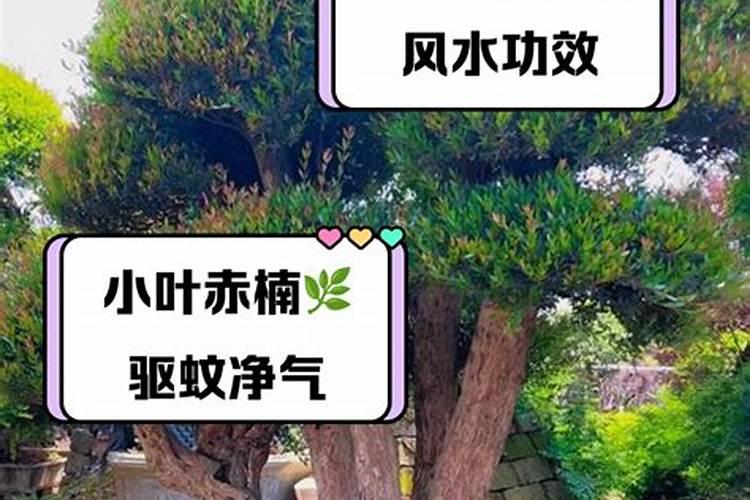 复合肥撒在土层上面,没有泥盖住,肥效损失多吗？特别是晴天。