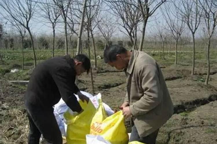 复合氨基酸粉在动物上用途