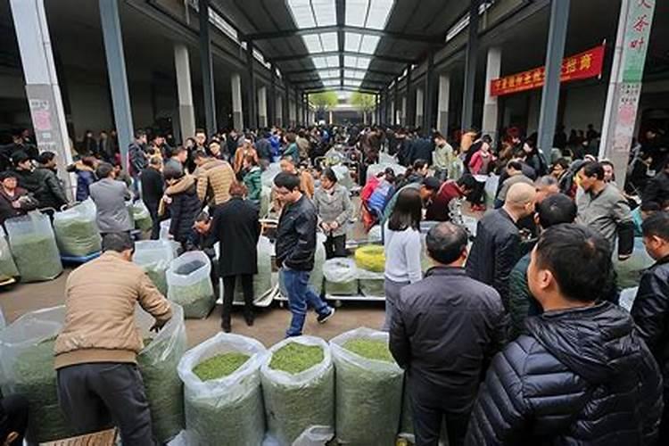 玉林化肥厂历史