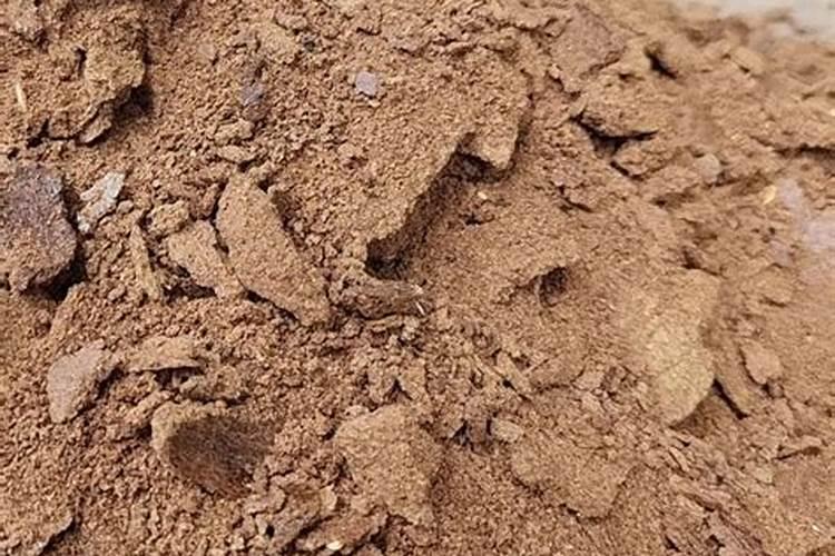 春天油菜上什么肥料