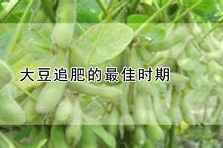 黄豆施什么肥比较好