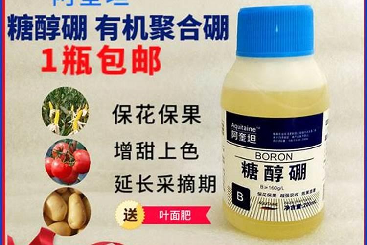 桐麸对果树的作用 这是种树的好东西