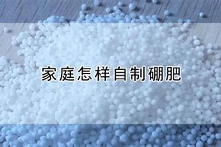 硼肥在农作物中起什么作用