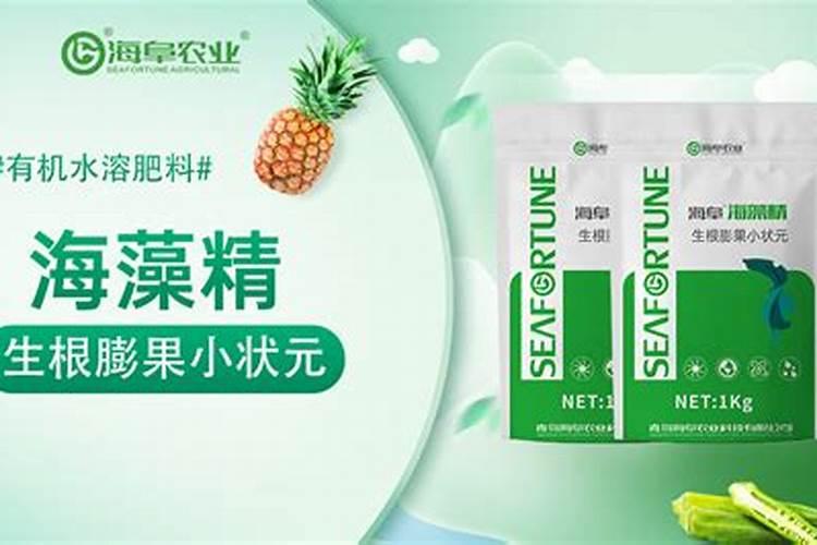 水溶肥可以撒施吗