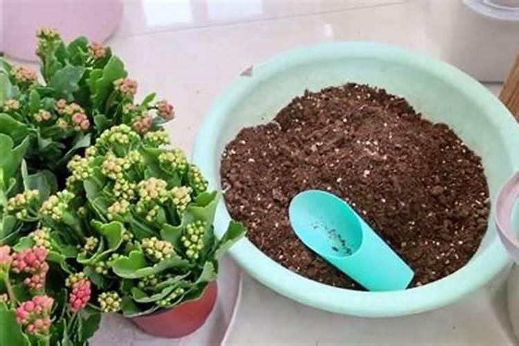 2025年不同品种螃蟹的脱壳时间安排是怎样的？