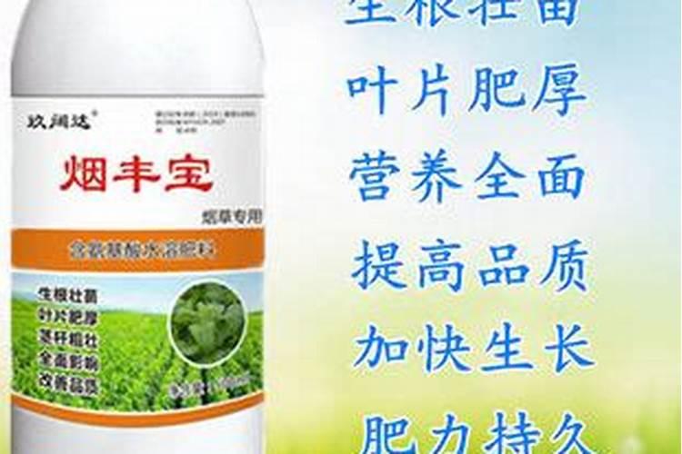 核桃树上的洋辣子虫用什么药