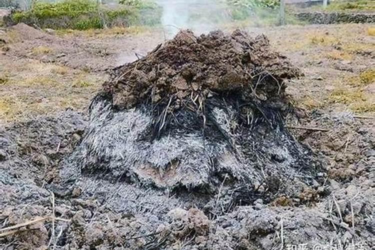 种豇豆可用火粪吗？