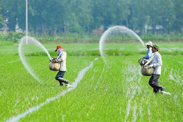 山西平定富硒农产品(太原)推介暨平定小米品鉴会在并举行