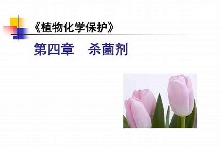 发财树需要用肥料吗,如果需要,应该用什么肥料