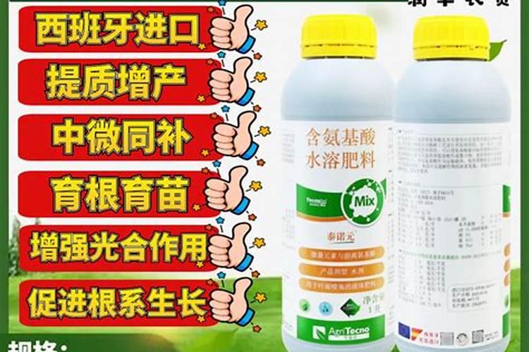 瓜硼过剩的症状和原因怎样进行防治？