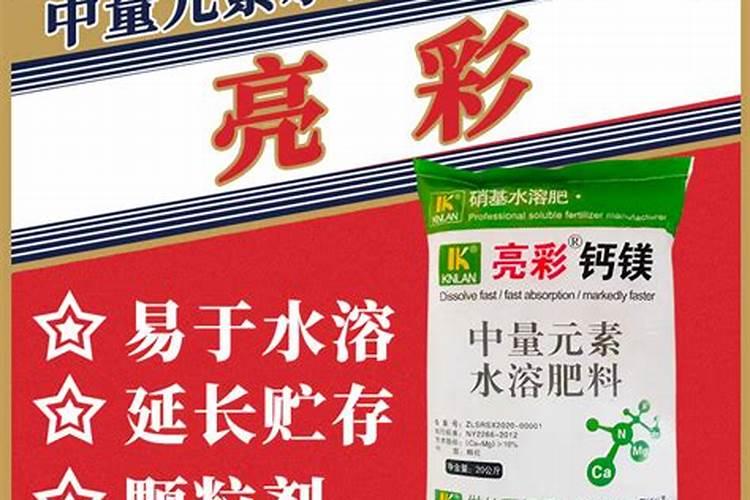 一叶蕨和金丝猴蕨有啥区别