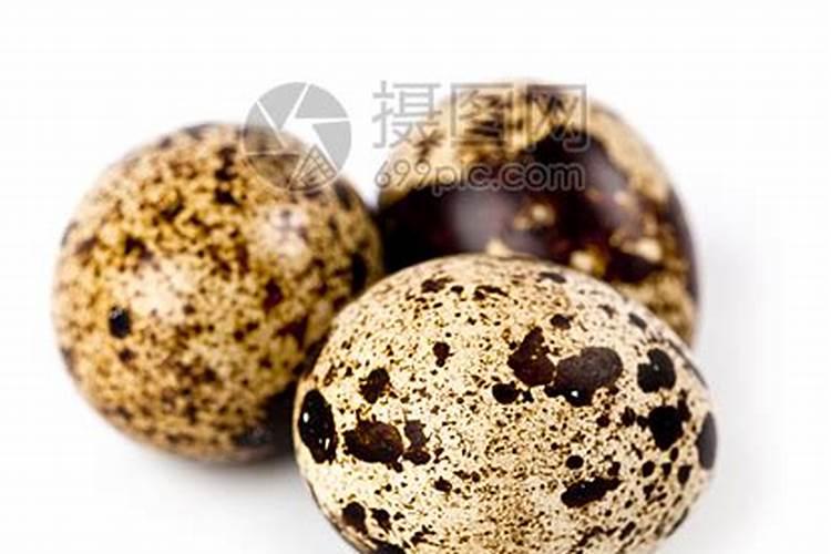 饥荒:海难 饥荒海难冰雹有什么用？