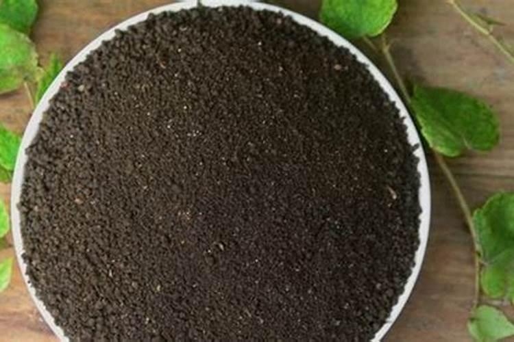 蚯蚓粪养花好吗？蚯蚓粪养花的方法和注意事项