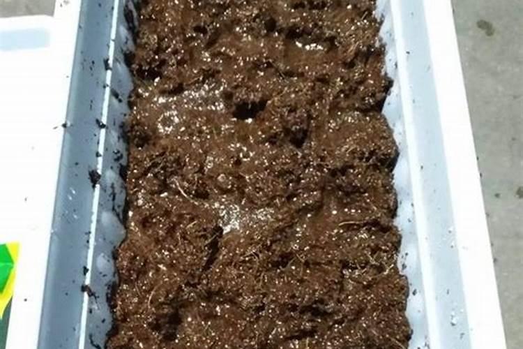 家庭厨余发酵垃圾桶真有效吗